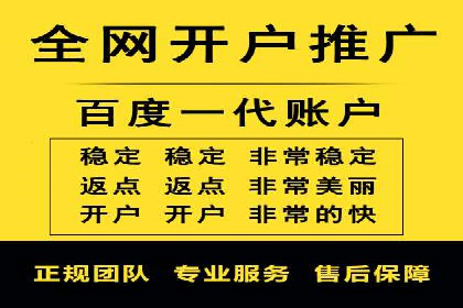 成功SEM服务案例分析报告